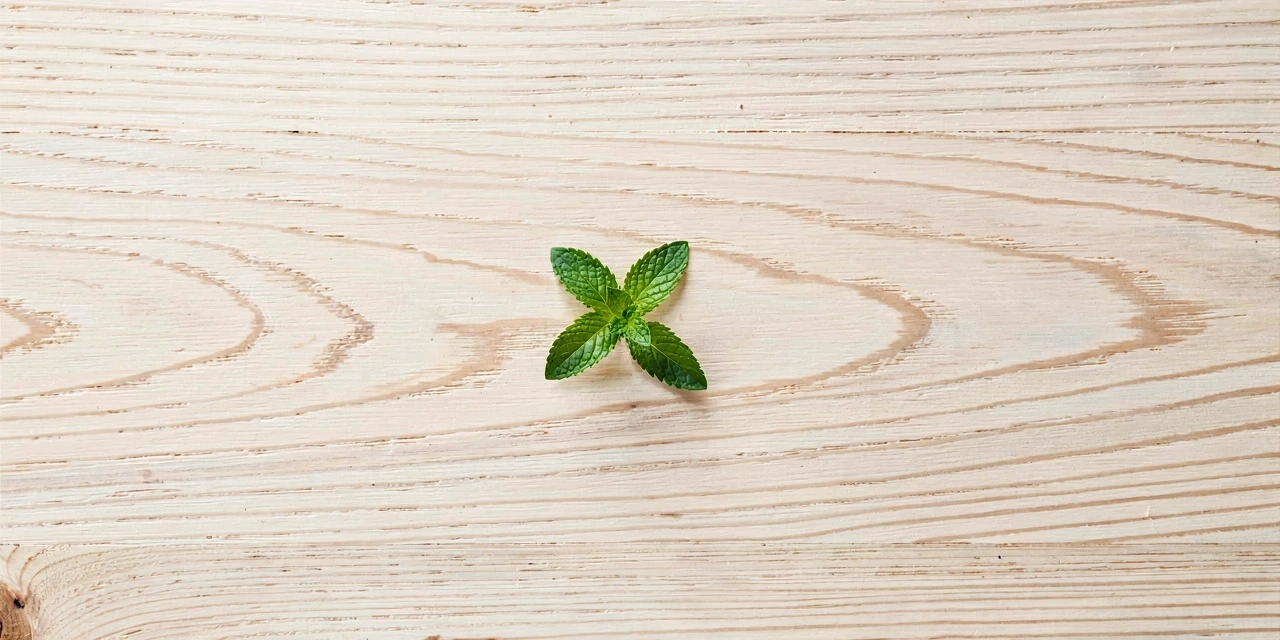 Simple kitchen detail